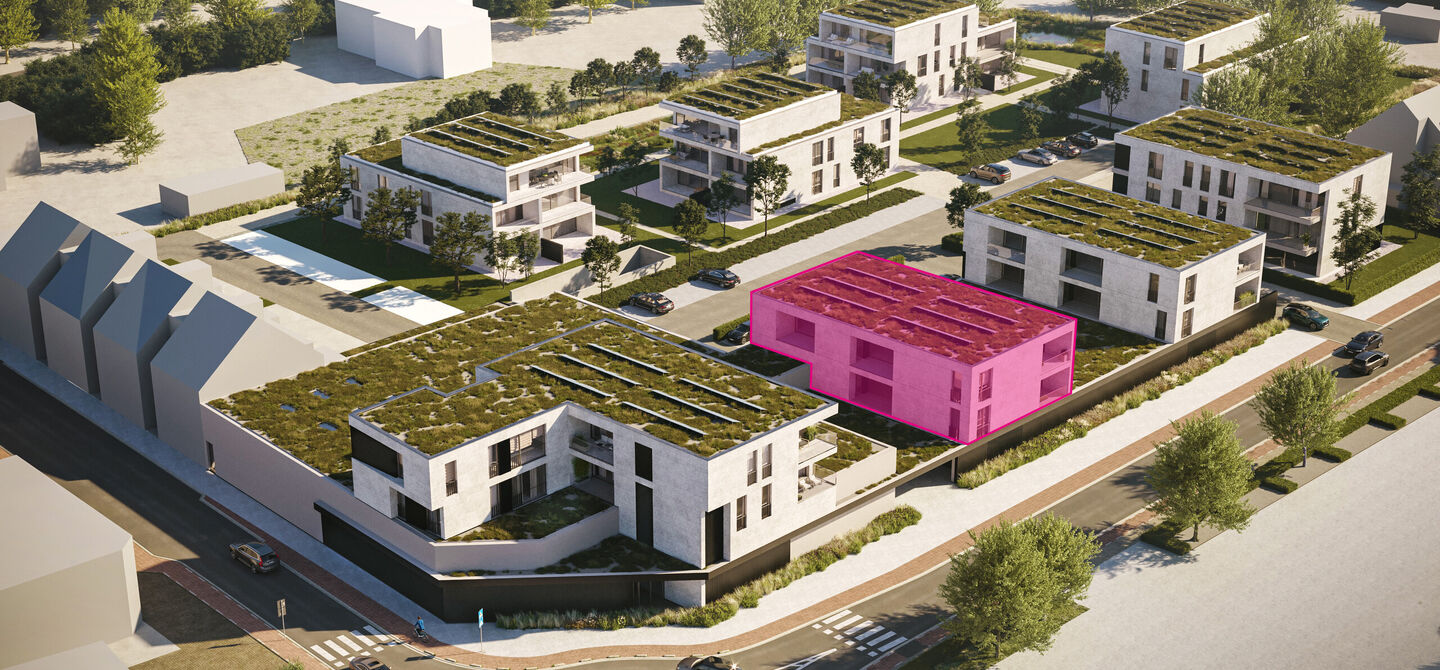Blok C1 - Kempis in Beringen