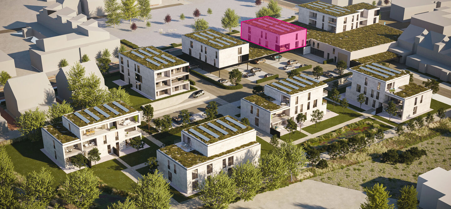 Blok C1 - Kempis in Beringen