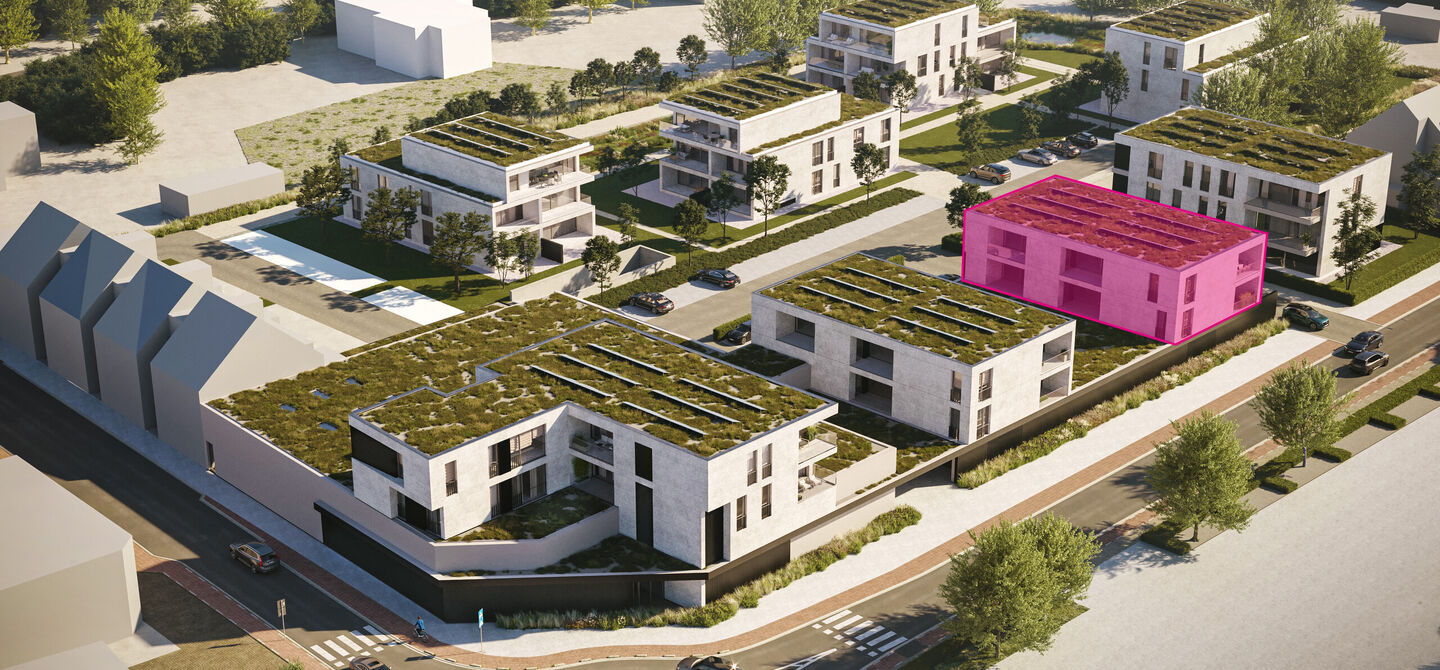 Blok C2 - Lumina in Beringen