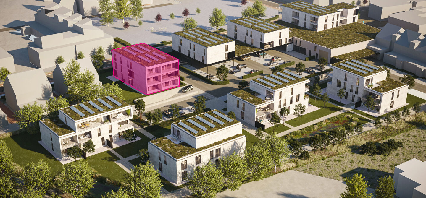 Blok D - Lacore in Beringen