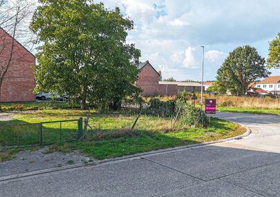 Bouwgrond te koop in Tessenderlo-Ham