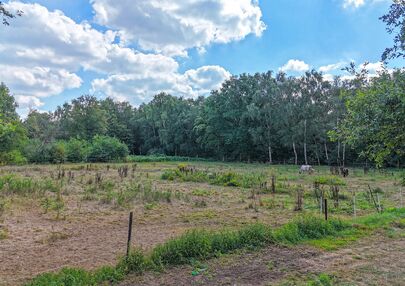 Weide te koop in Heusden-Zolder
