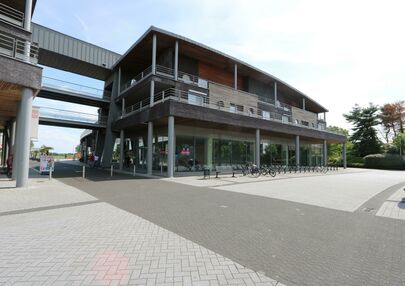 Winkelpand te huur in Maaseik