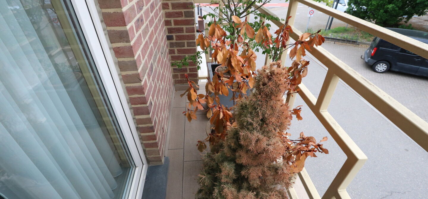 Appartement te huur in Maasmechelen