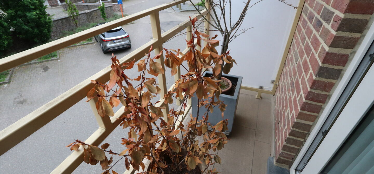 Appartement te huur in Maasmechelen