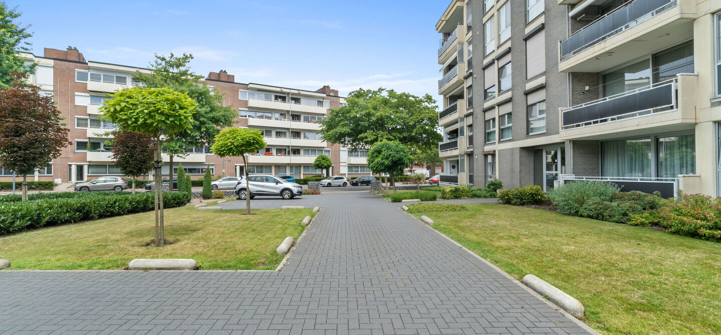 Appartement te koop in Maaseik