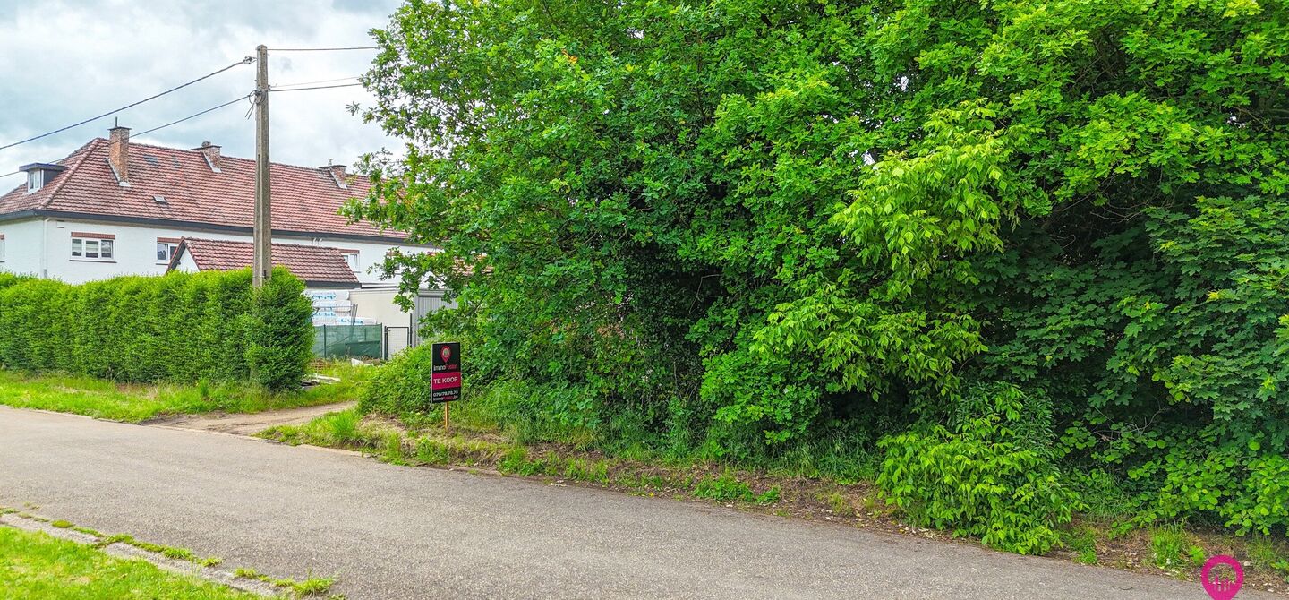 Bos te koop in Heusden-Zolder