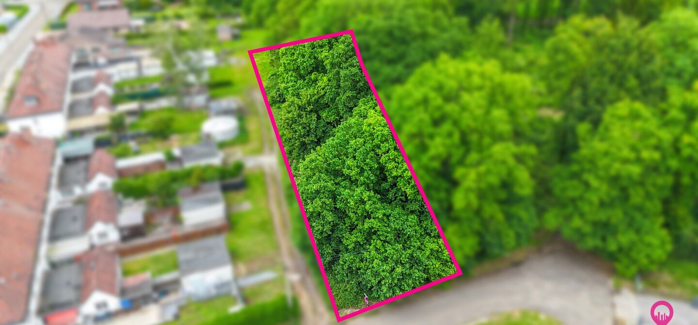 Bos te koop in Heusden-Zolder