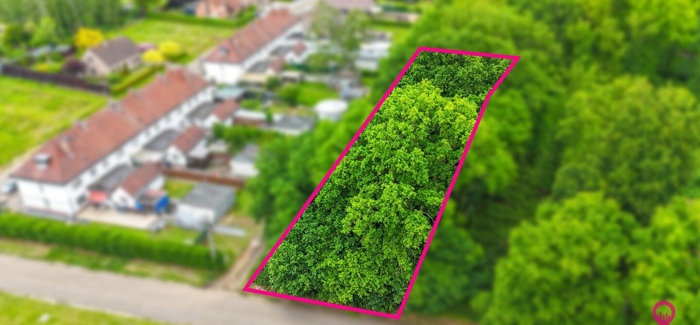 Bos te koop in Heusden-Zolder