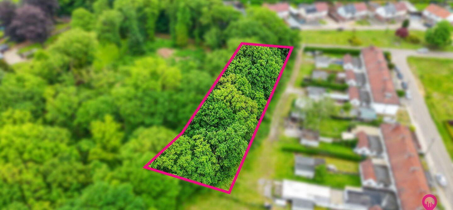 Bos te koop in Heusden-Zolder