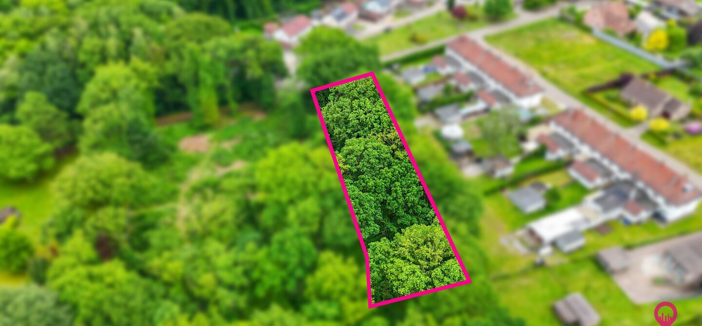 Bos te koop in Heusden-Zolder