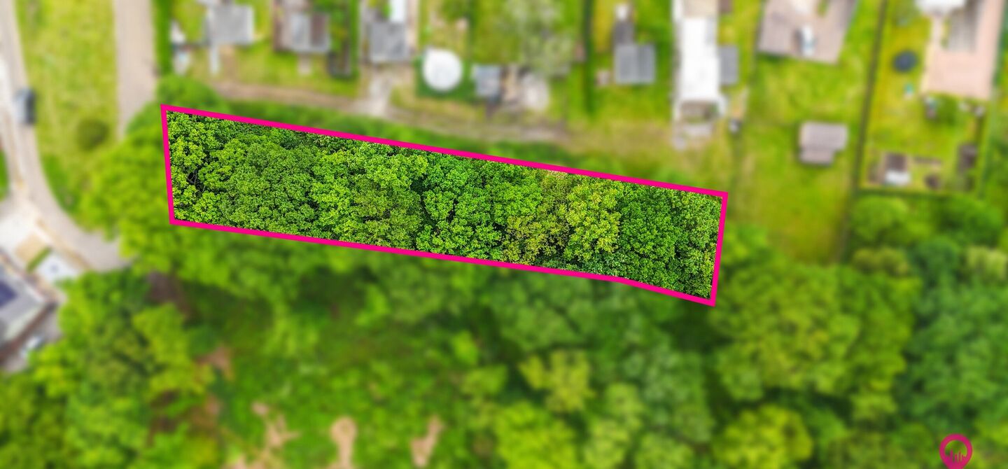 Bos te koop in Heusden-Zolder