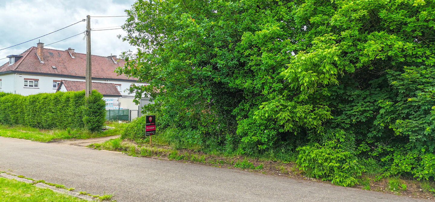 Bos te koop in Heusden-Zolder