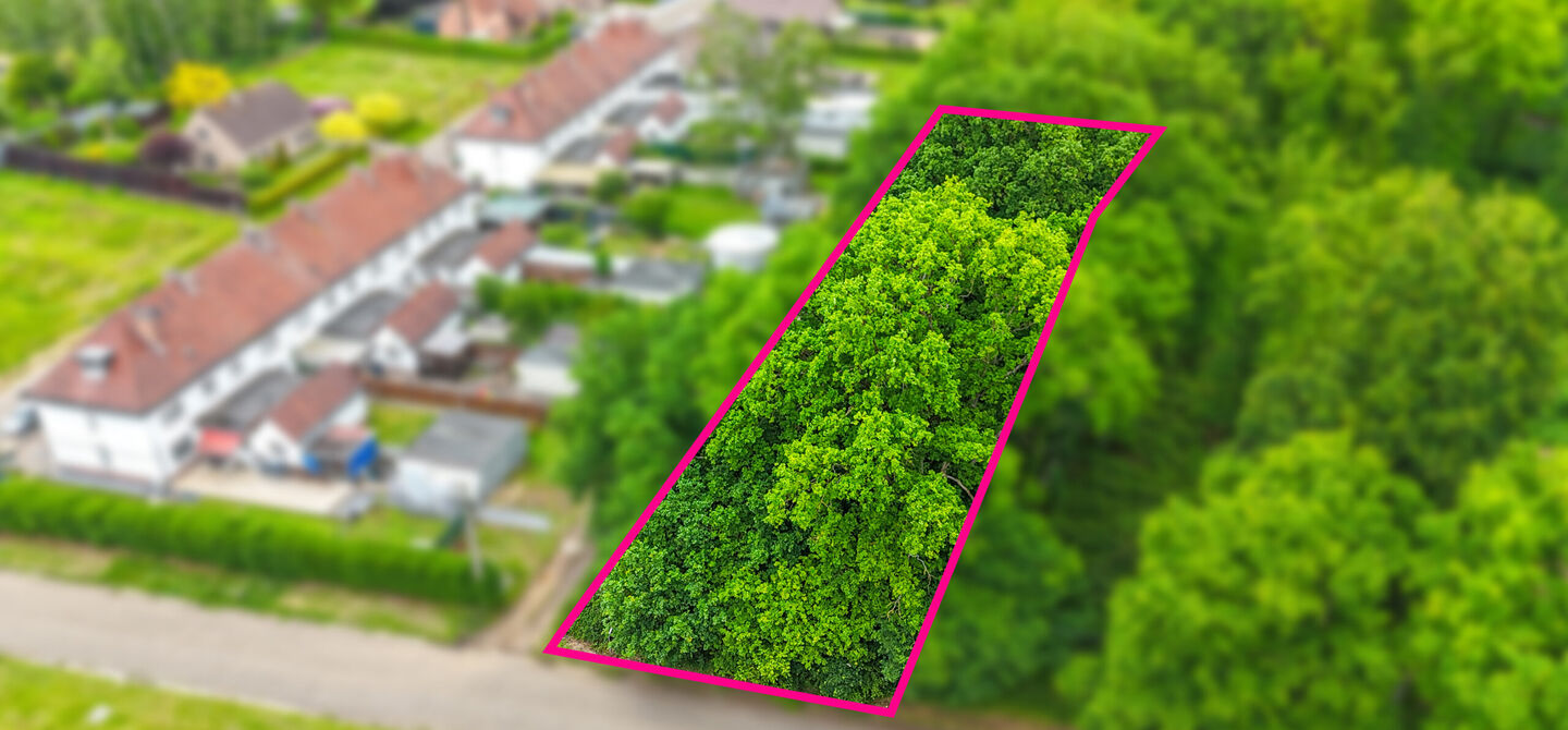 Bos te koop in Heusden-Zolder