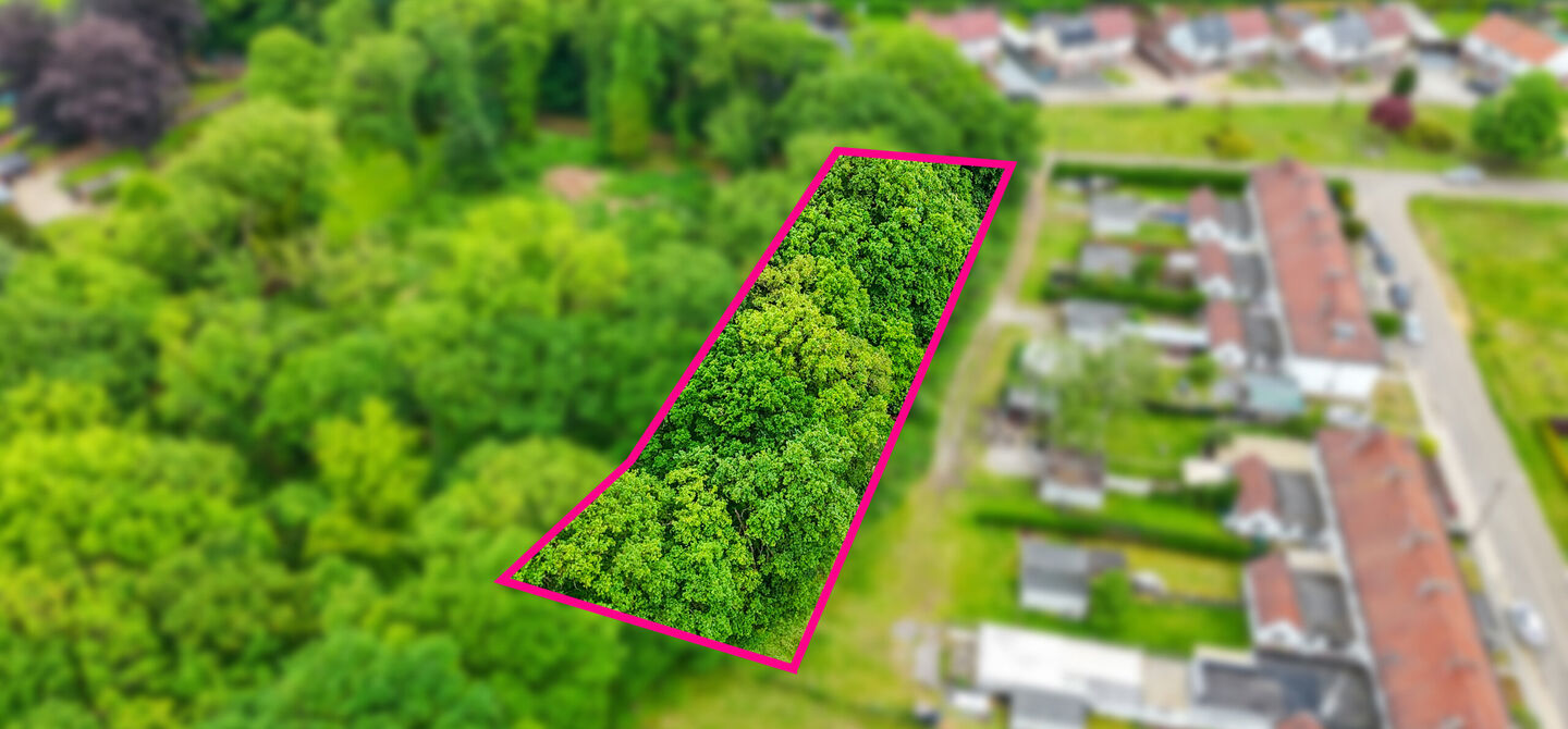 Bos te koop in Heusden-Zolder