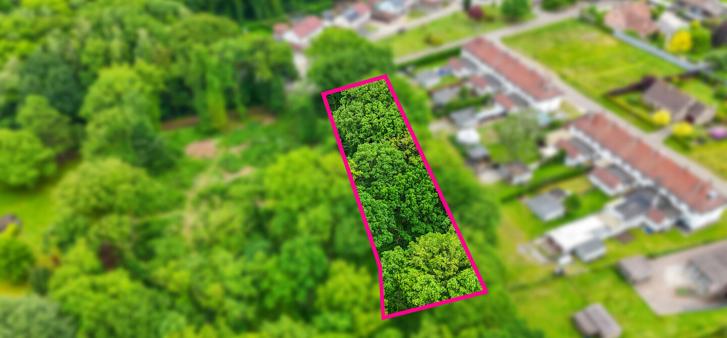Bos te koop in Heusden-Zolder