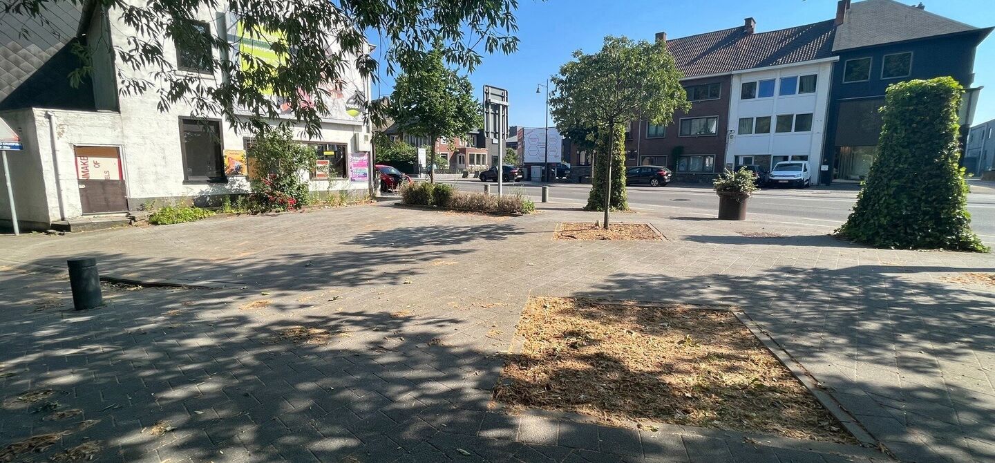 Bouwgrond (projecten) te koop in Hasselt