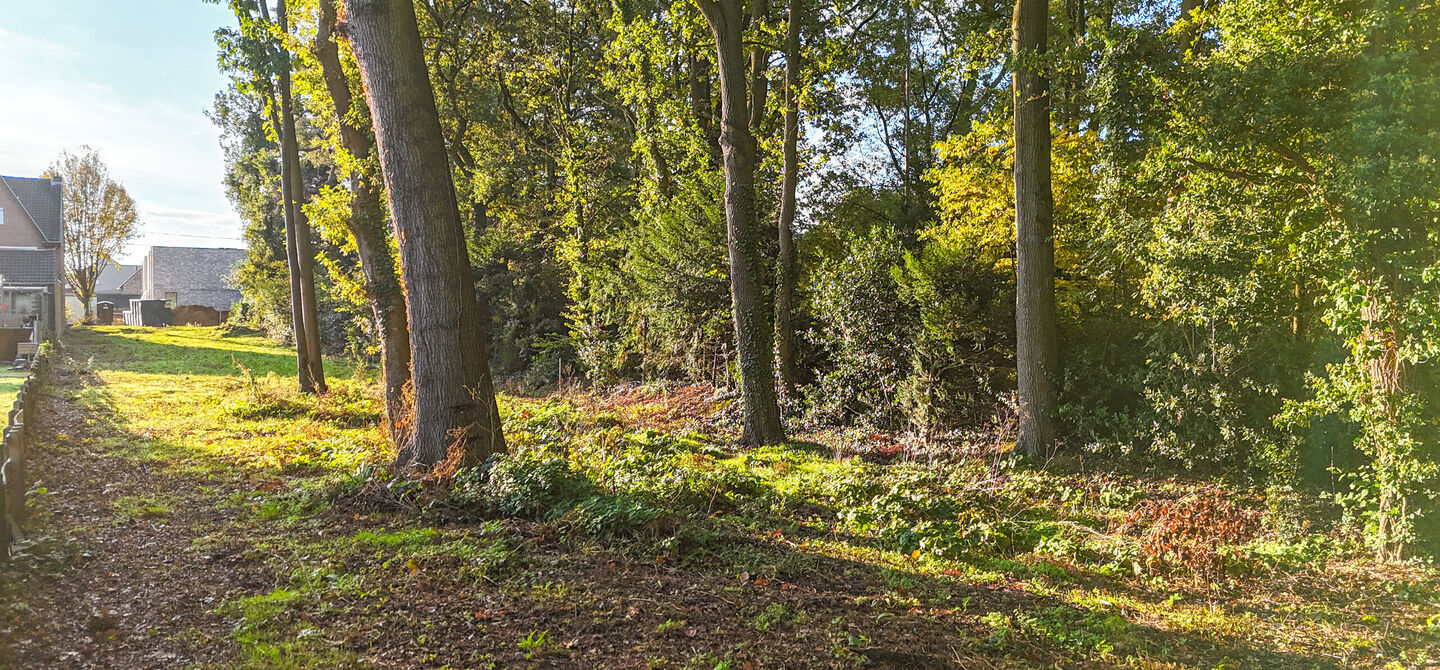 Bouwgrond te koop in Heusden-Zolder