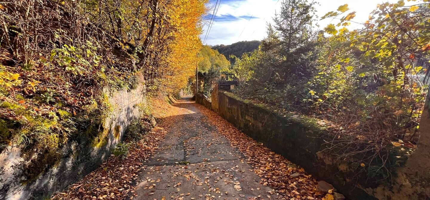 Charmant huis te koop in Sprimont