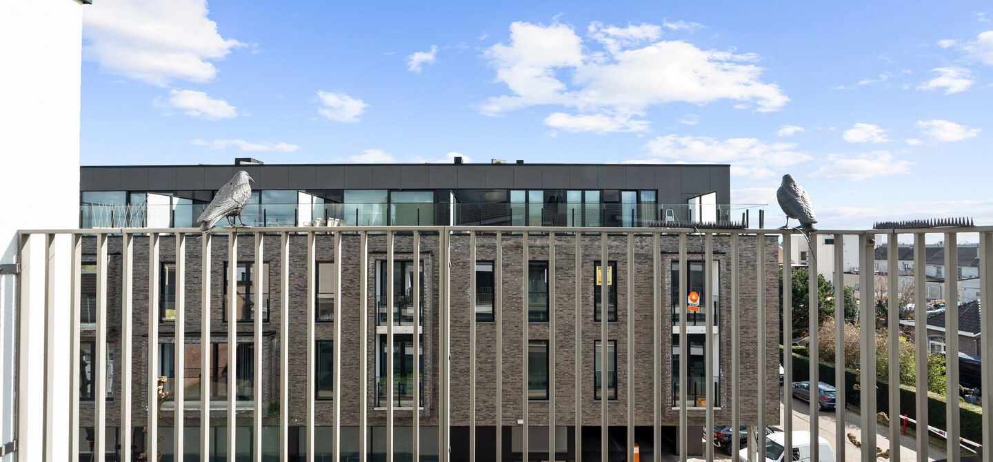 Duplex te koop in Maasmechelen