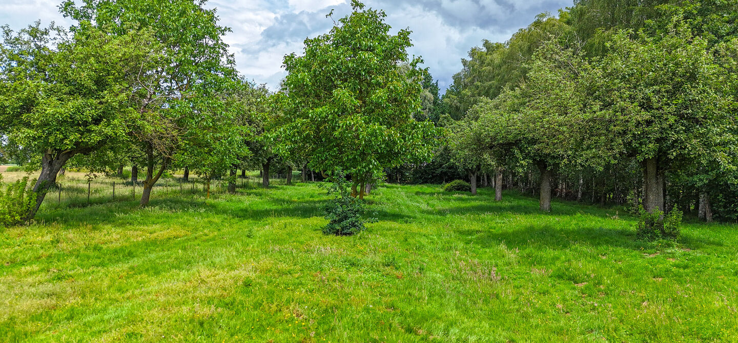 Hoeve te koop in Alken