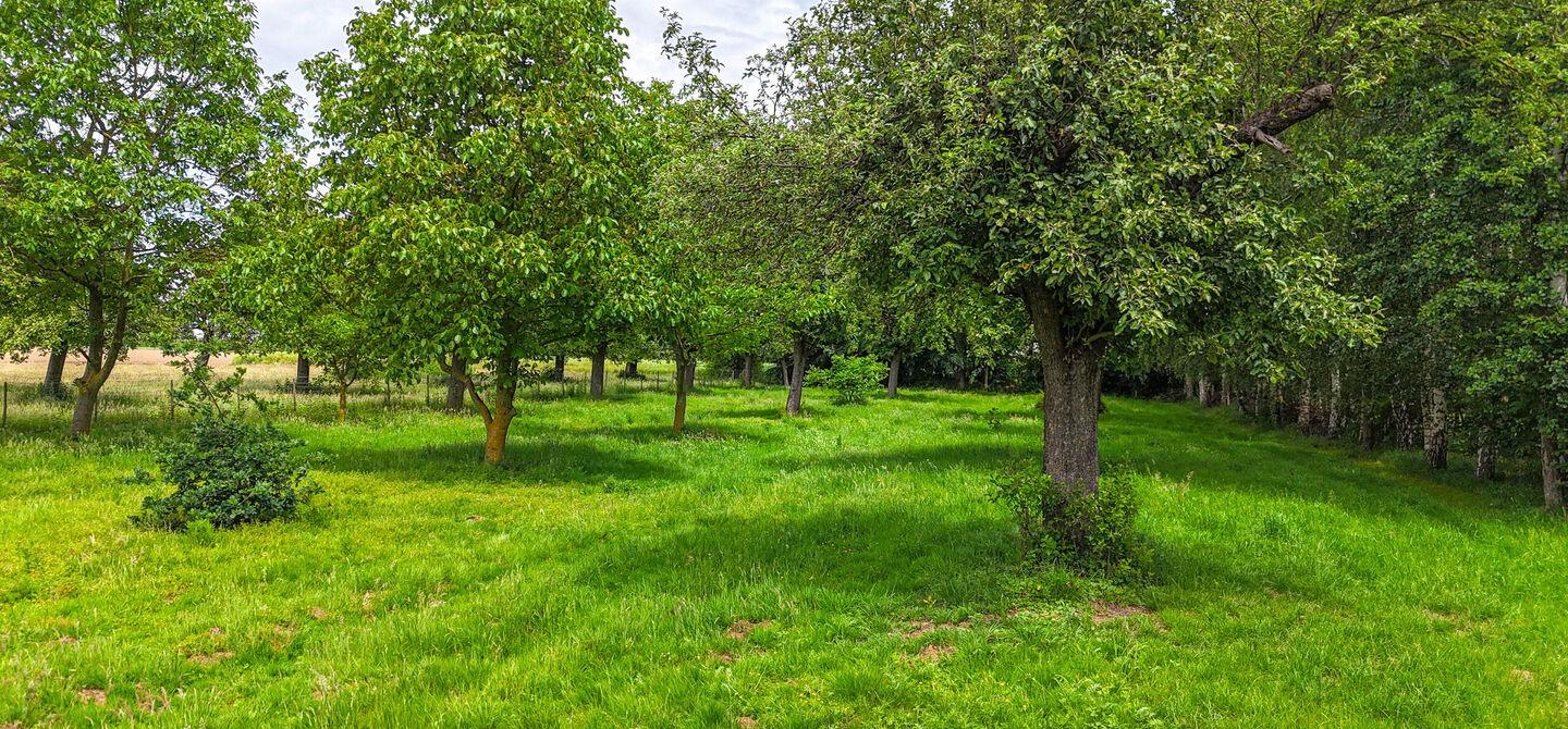 Hoeve te koop in Alken