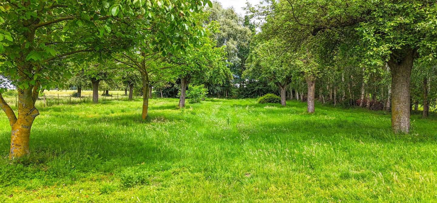 Hoeve te koop in Alken