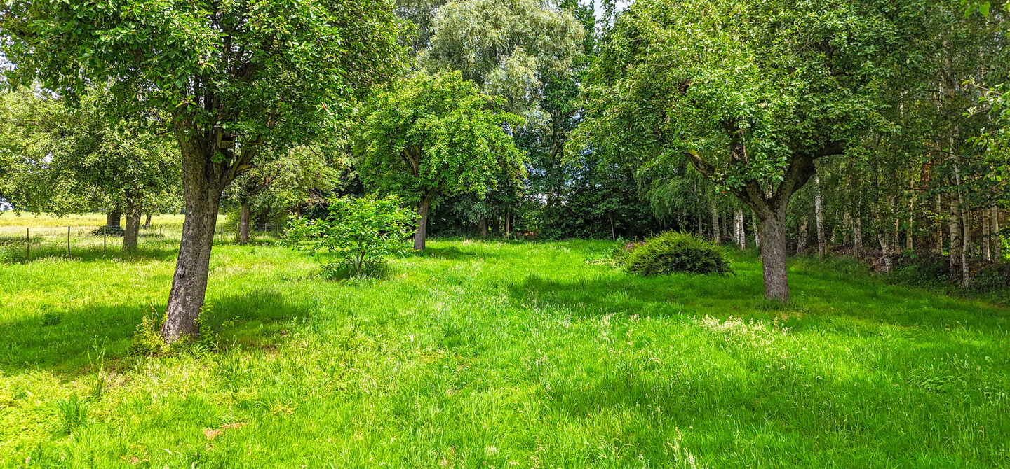 Hoeve te koop in Alken
