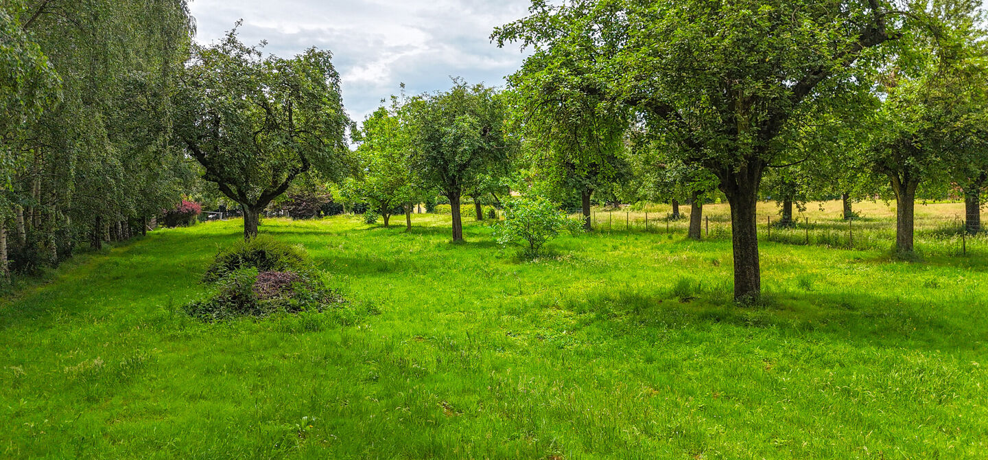 Hoeve te koop in Alken