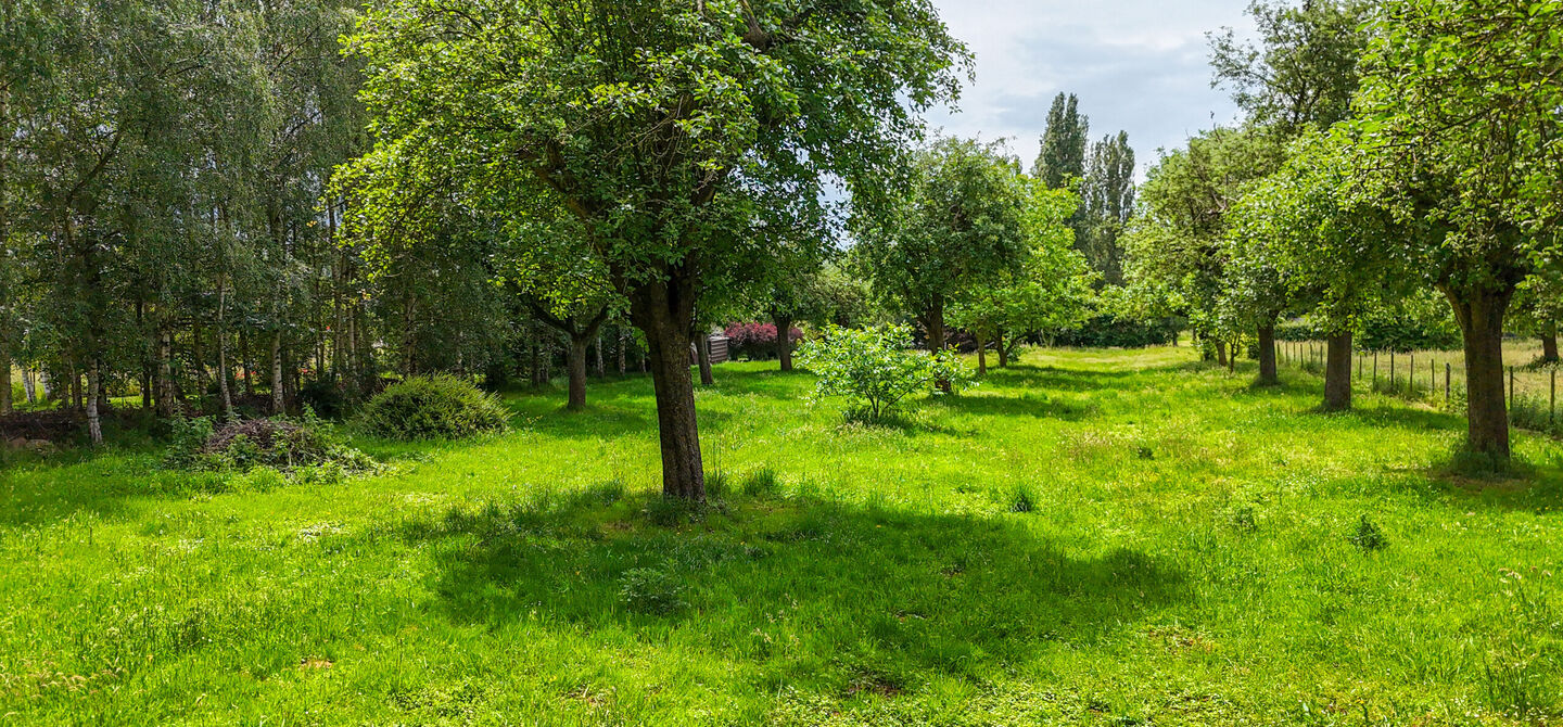 Hoeve te koop in Alken