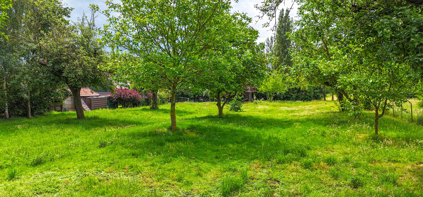 Hoeve te koop in Alken