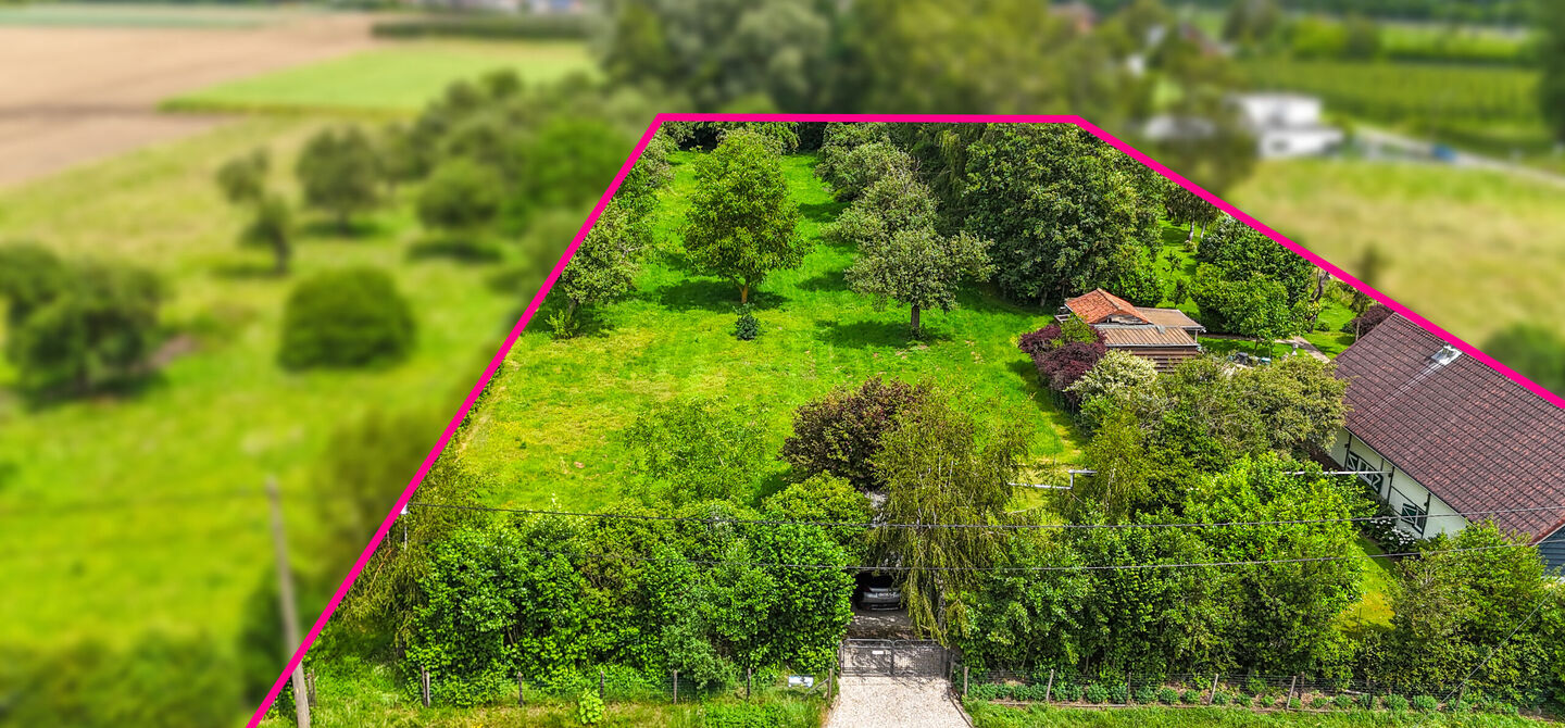 Hoeve te koop in Alken