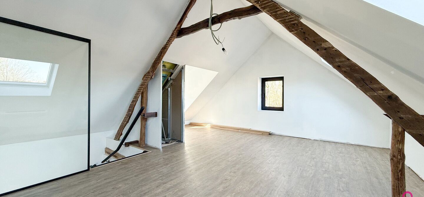 Horeca te huur in Beringen