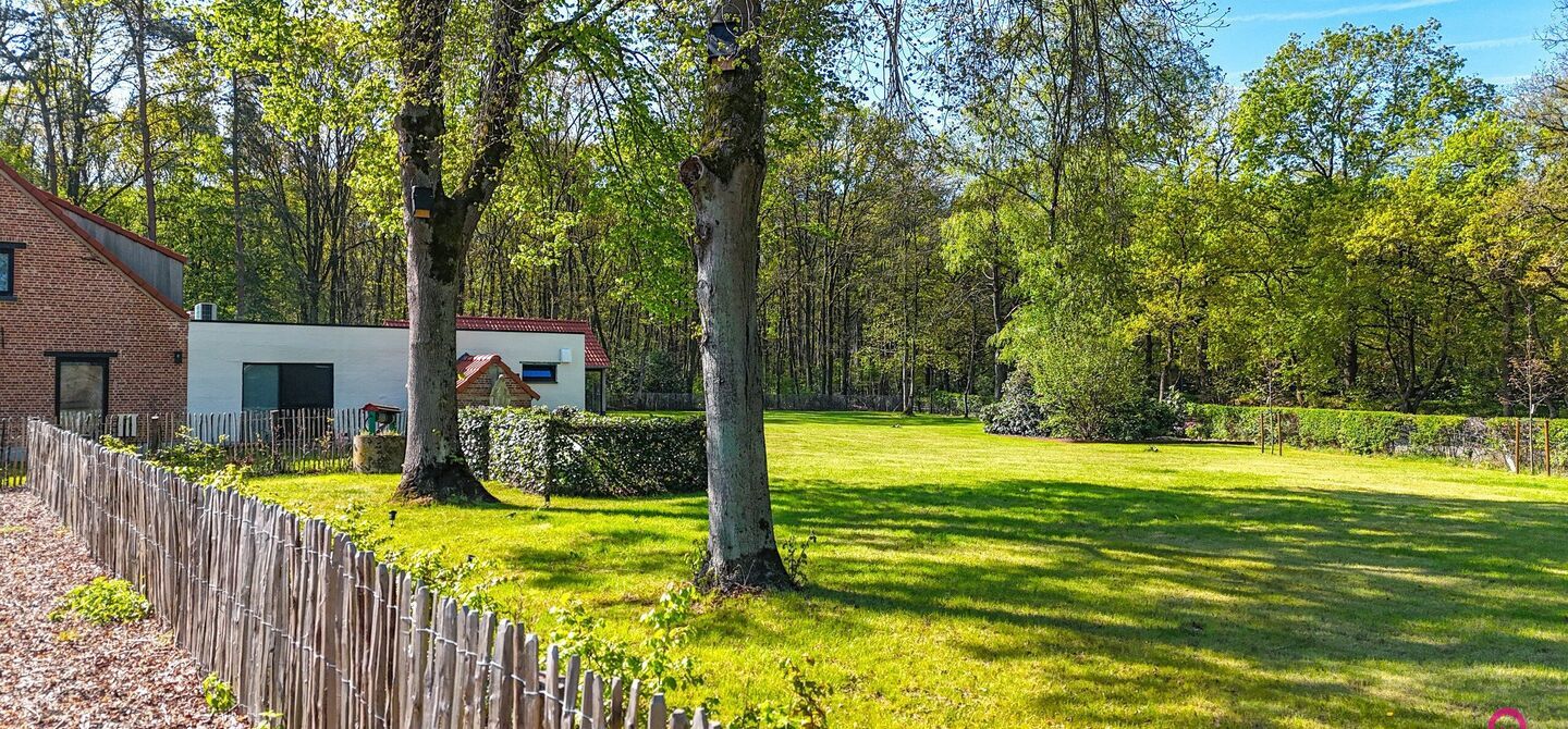 Horeca te huur in Beringen