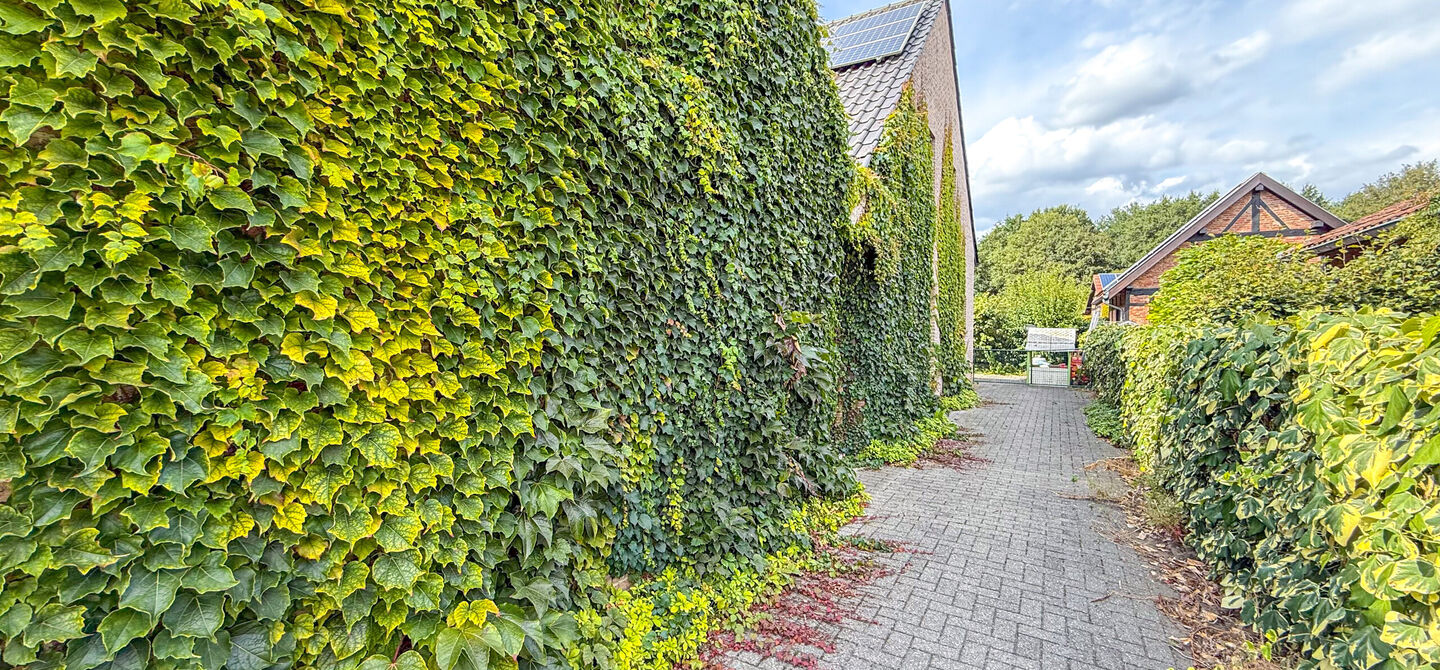 Huis te huur in Heusden-Zolder
