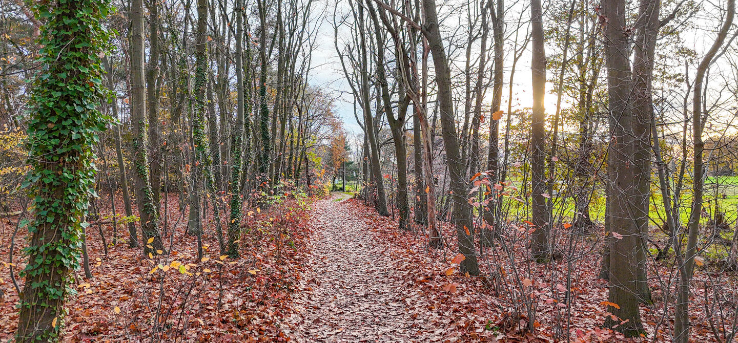 Bij ImmoFusion 7/7 “open huis”: klik op onze 3D-TOUR.
Ervaar vastgoed alsof je er zelf doorloopt!

Ontdek deze uitzonderlijk gelegen vrijstaande woning in de rustige, bosrijke omgeving van Paal. Wie houdt van natuur, privacy en een fenomenale perceelo