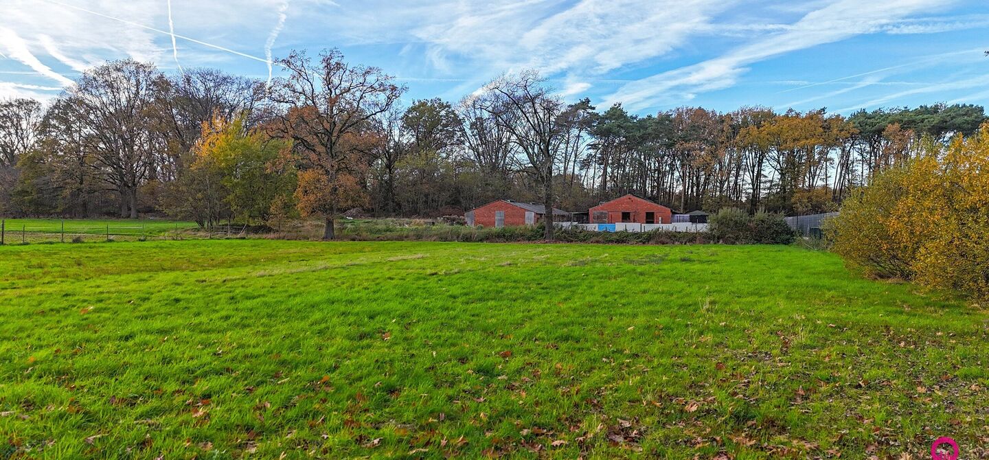 Bij ImmoFusion 7/7 “open huis”: klik op onze 3D-TOUR.
Ervaar vastgoed alsof je er zelf doorloopt!

Ontdek deze uitzonderlijk gelegen vrijstaande woning in de rustige, bosrijke omgeving van Paal. Wie houdt van natuur, privacy en een fenomenale perceelo
