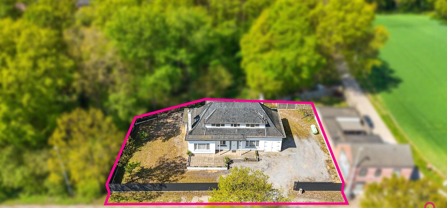 Bij ImmoFusion 7/7 “open huis” : klik op onze 3D-TOUR.
Ervaar vastgoed alsof je er zelf doorloopt!
Welkom in deze verrassend ruime open bebouwing gelegen op een uitstekende locatie langs de Heppensesteenweg in Beringen. Met maar liefst 328m² bewoonb