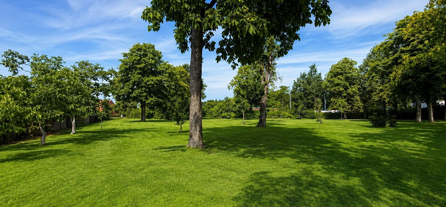 Huis te koop in Beringen