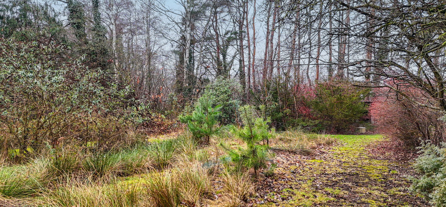 Huis te koop in Beringen Koersel
