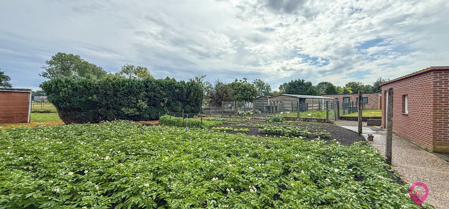 Huis te koop in Houthalen-Helchteren