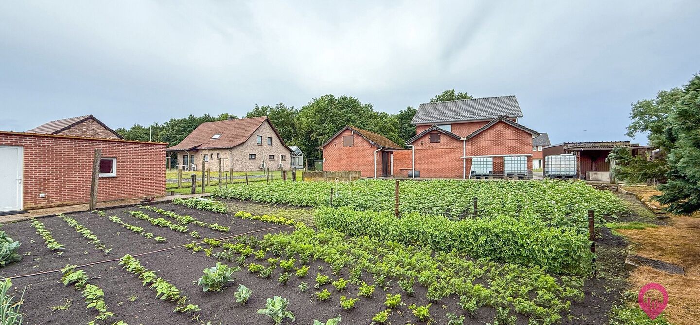 Huis te koop in Houthalen-Helchteren