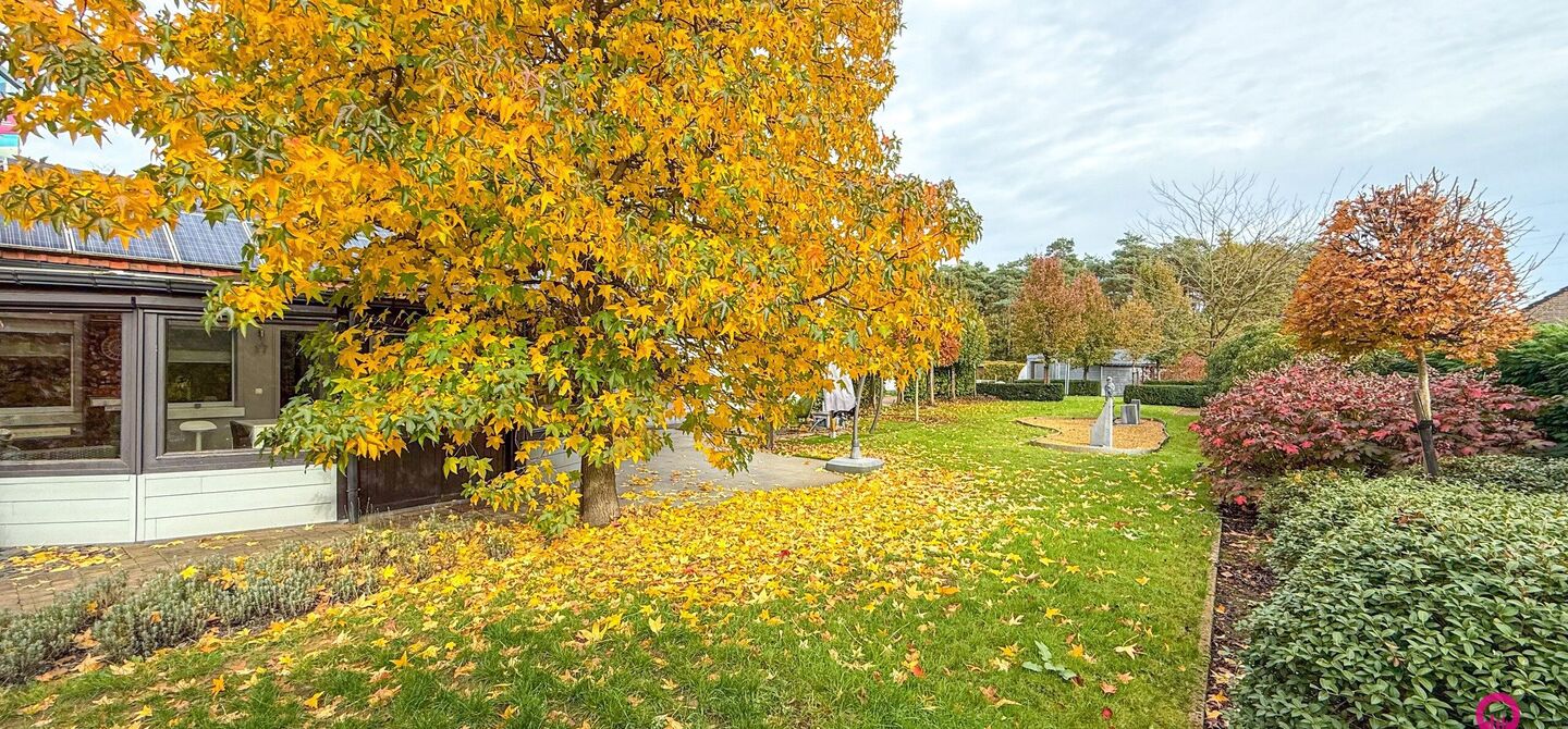Huis te koop in Tessenderlo-Ham