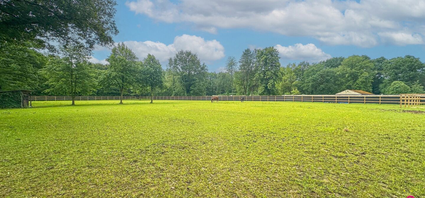 Individuele handelszaak te koop in Heusden-Zolder