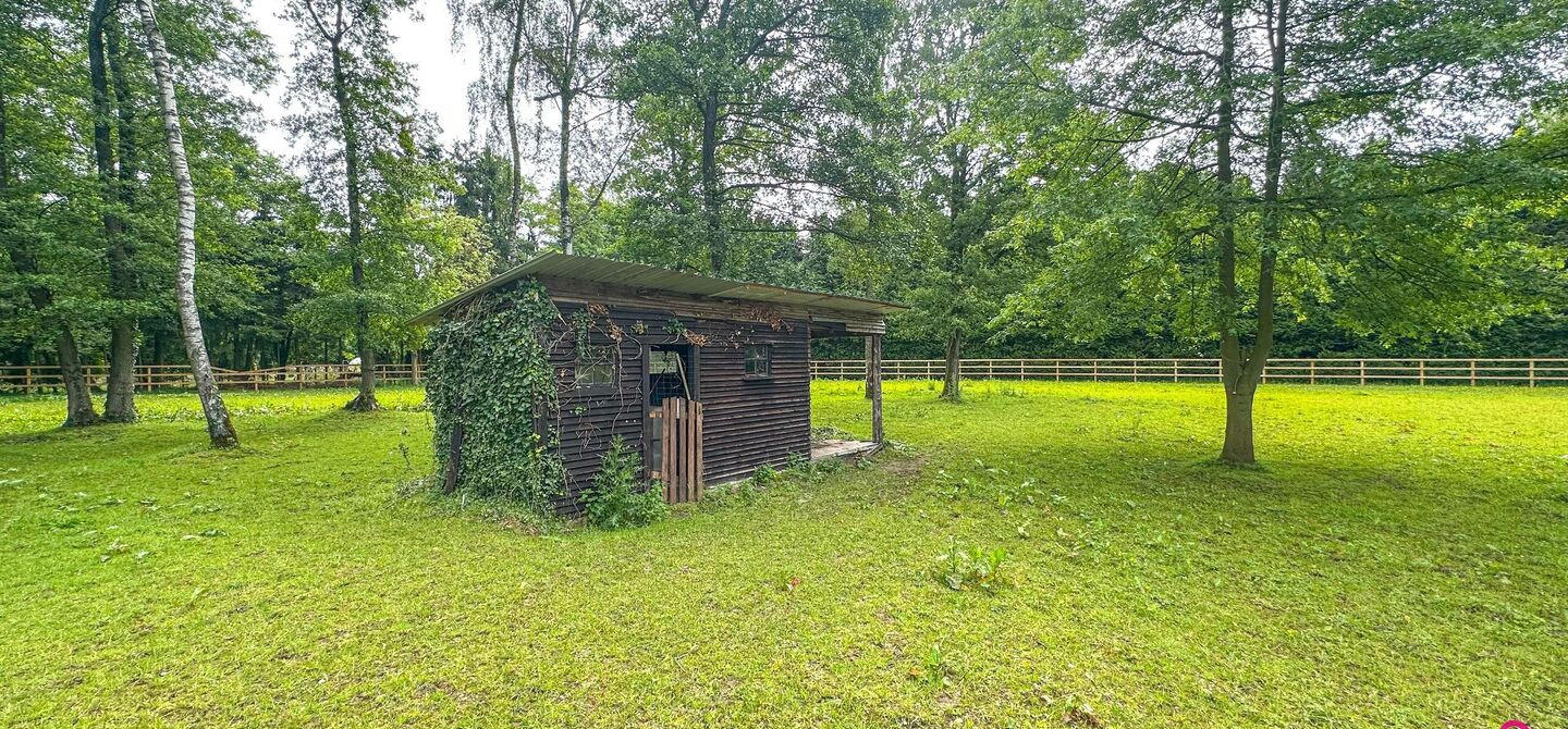 Individuele handelszaak te koop in Heusden-Zolder