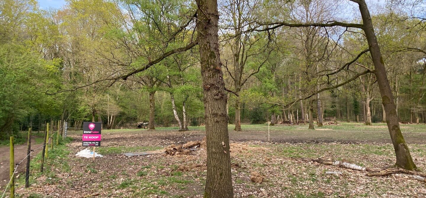 Landbouwgrond te koop in Heusden-Zolder