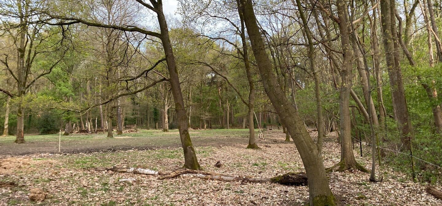 Landbouwgrond te koop in Heusden-Zolder