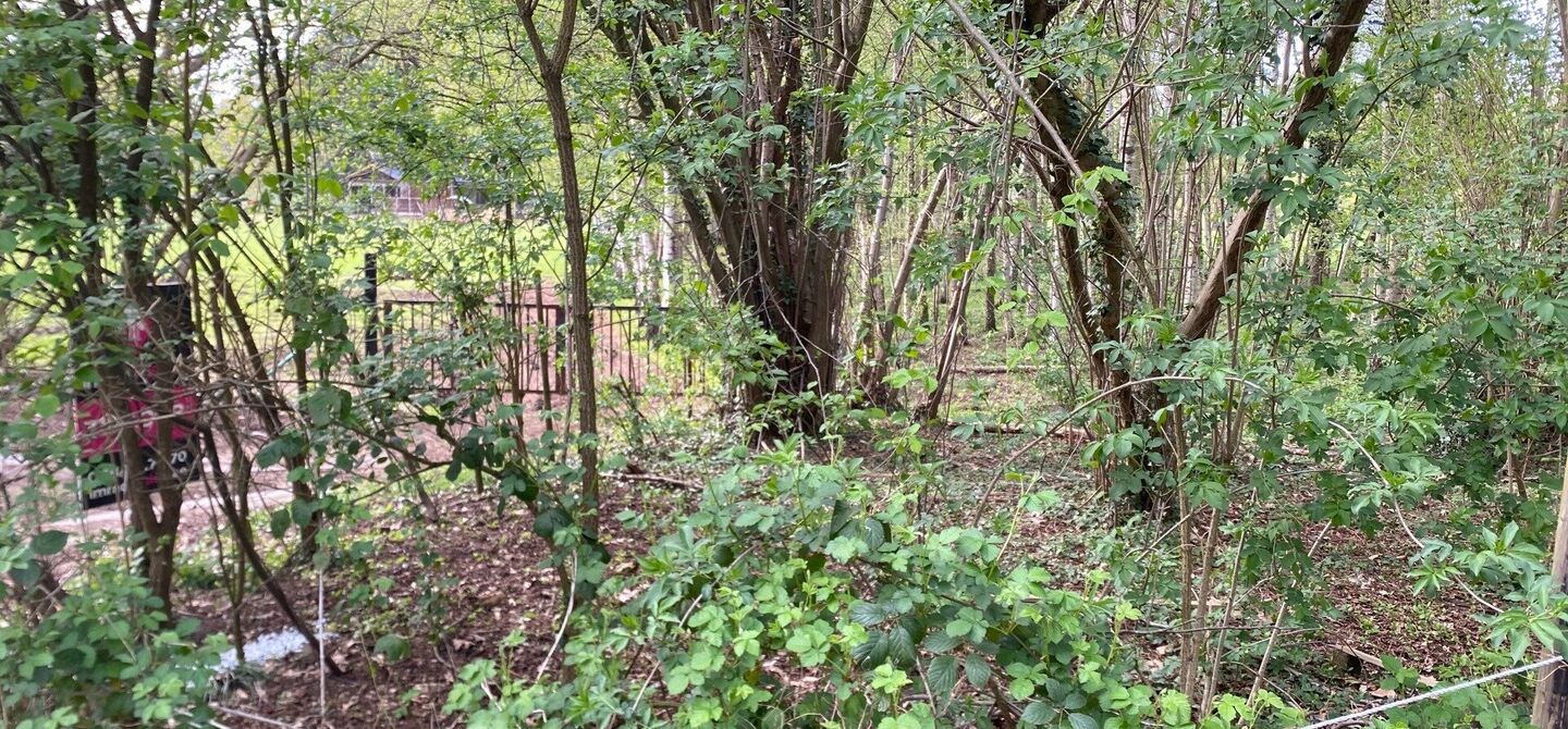 Landbouwgrond te koop in Heusden-Zolder