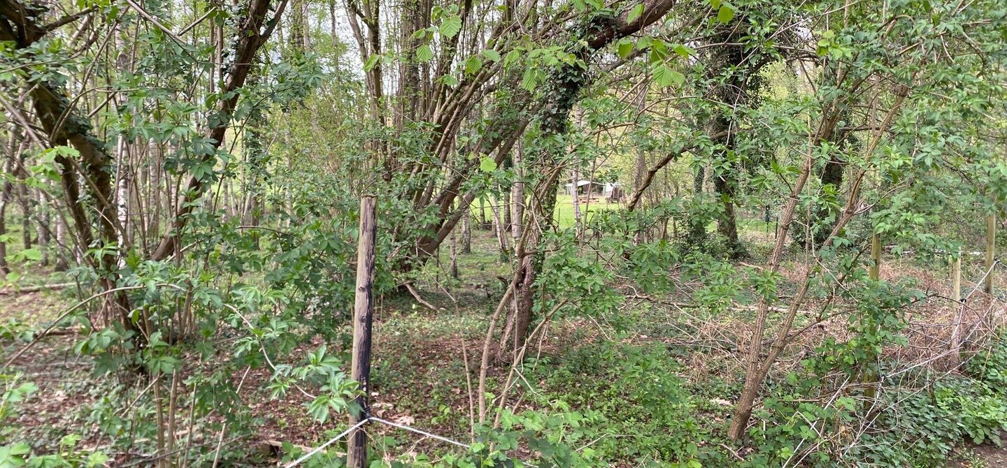 Landbouwgrond te koop in Heusden-Zolder