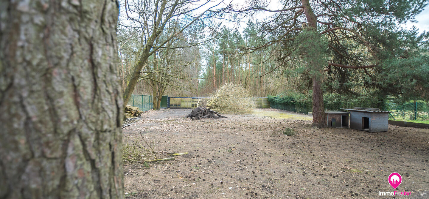 Villa te koop in Opglabbeek